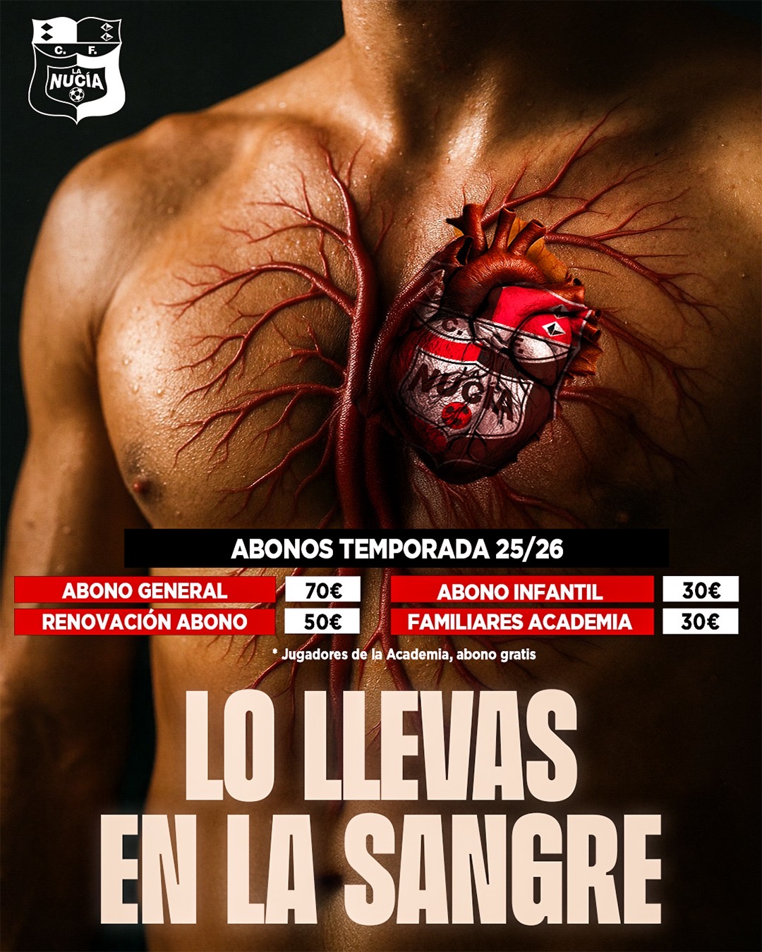 b90dddae-597c-4941-a16b-8e7c9364cd4f-2